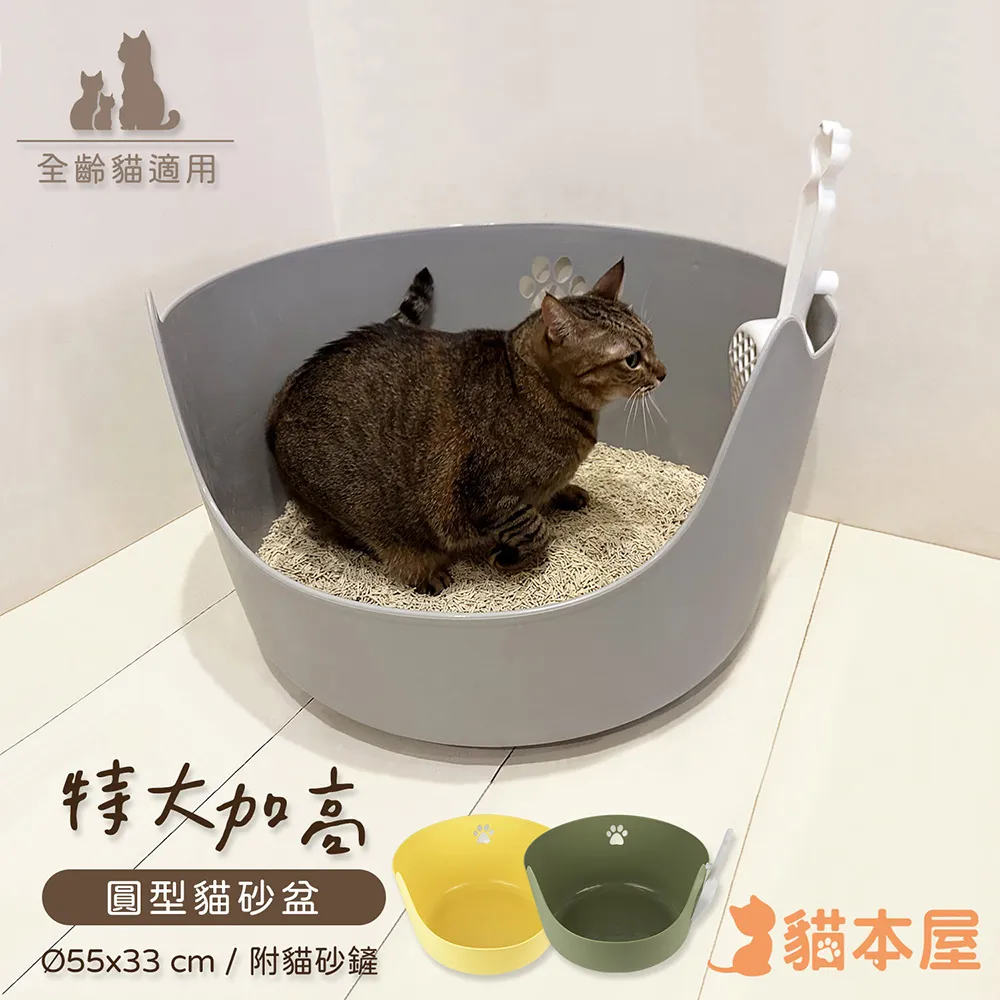 特力屋 屋型壁掛-中 歷史價格詳細信息