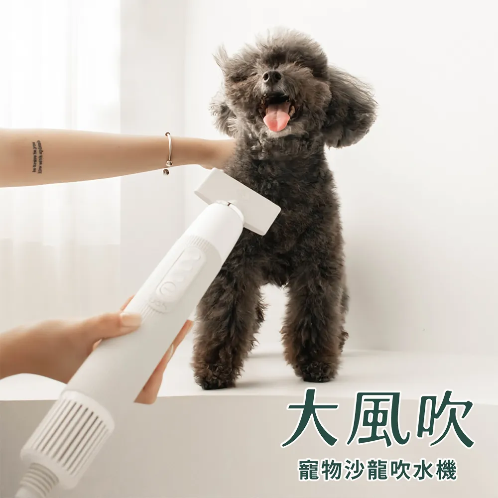 uah有哈 大風吹-寵物沙龍吹水機/吹風機 歷史價格詳細信息