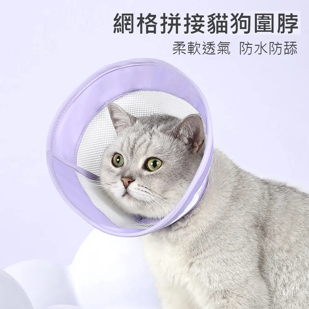 艾寵樂 貓狗伊莉莎白寵物頭套 貓狗圍脖頸圈 L號 歷史價格詳細信息
