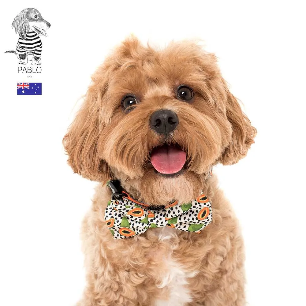 【寵物領結-純手工-繩長42cm-頸圍20-40cm-3個/組】貓咪領帶寵物用品 繩子有搭扣 可調節長度-79011 歷史價格詳細信息