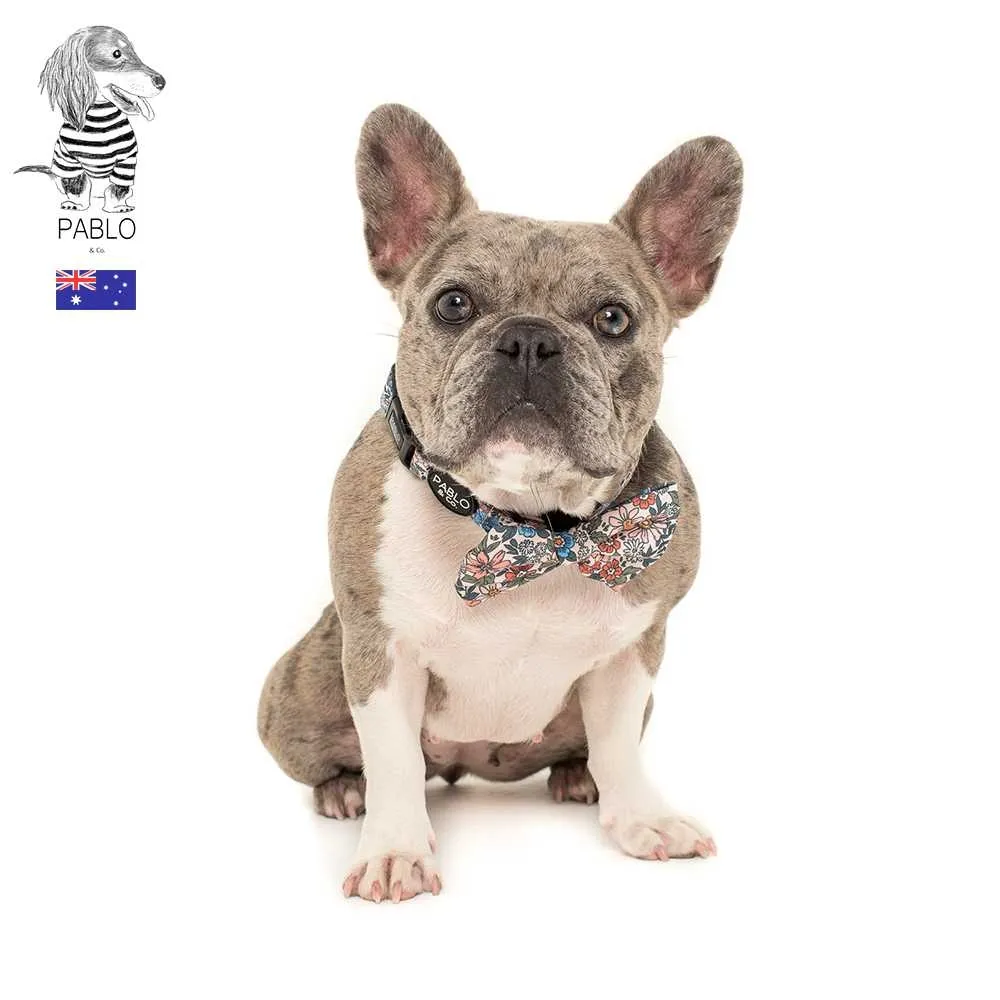 【寵物領結-純手工-繩長42cm-頸圍20-40cm-3個/組】貓咪領帶寵物用品 繩子有搭扣 可調節長度-79011 歷史價格詳細信息