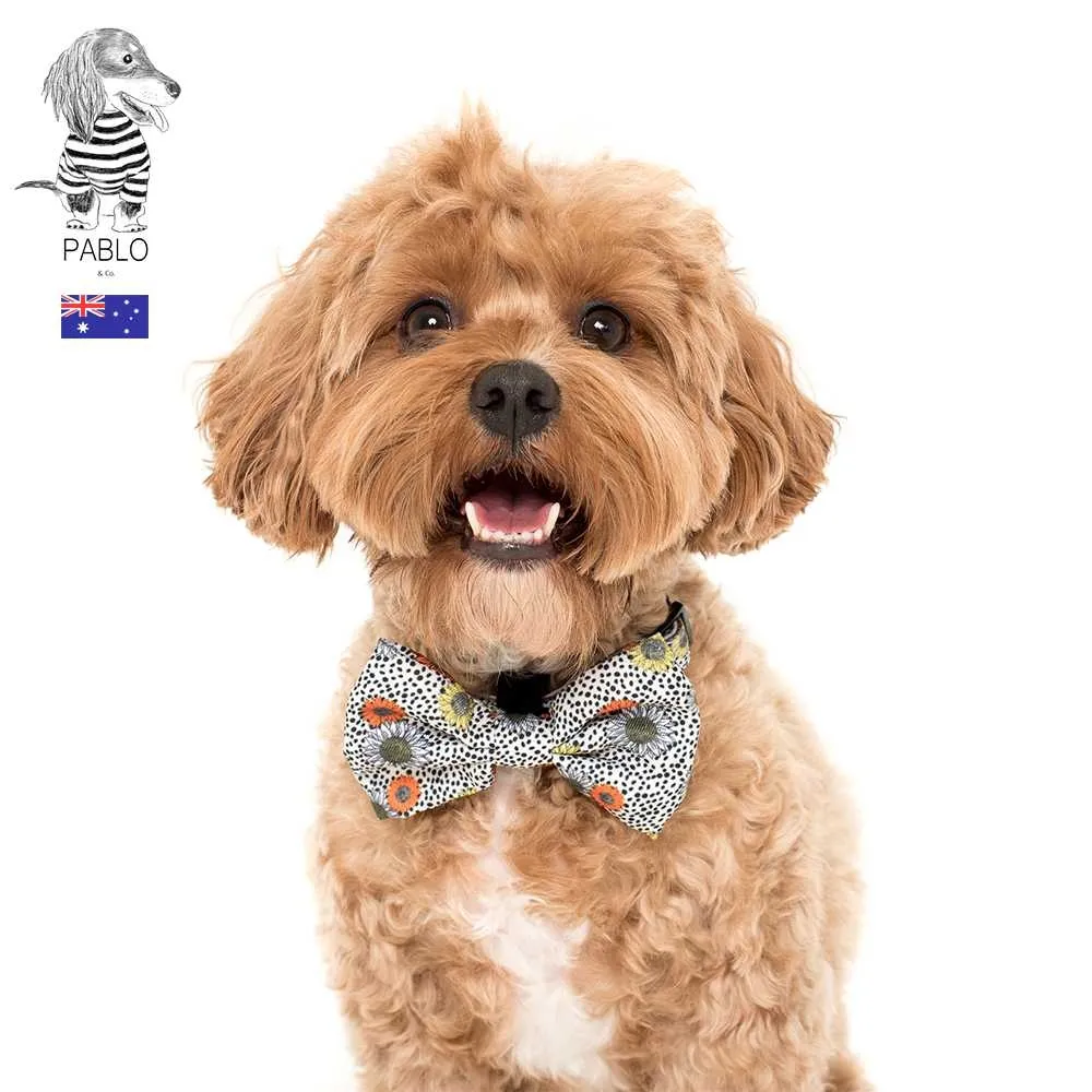 【寵物領結-純手工-繩長42cm-頸圍20-40cm-3個/組】貓咪領帶寵物用品 繩子有搭扣 可調節長度-79011 歷史價格詳細信息