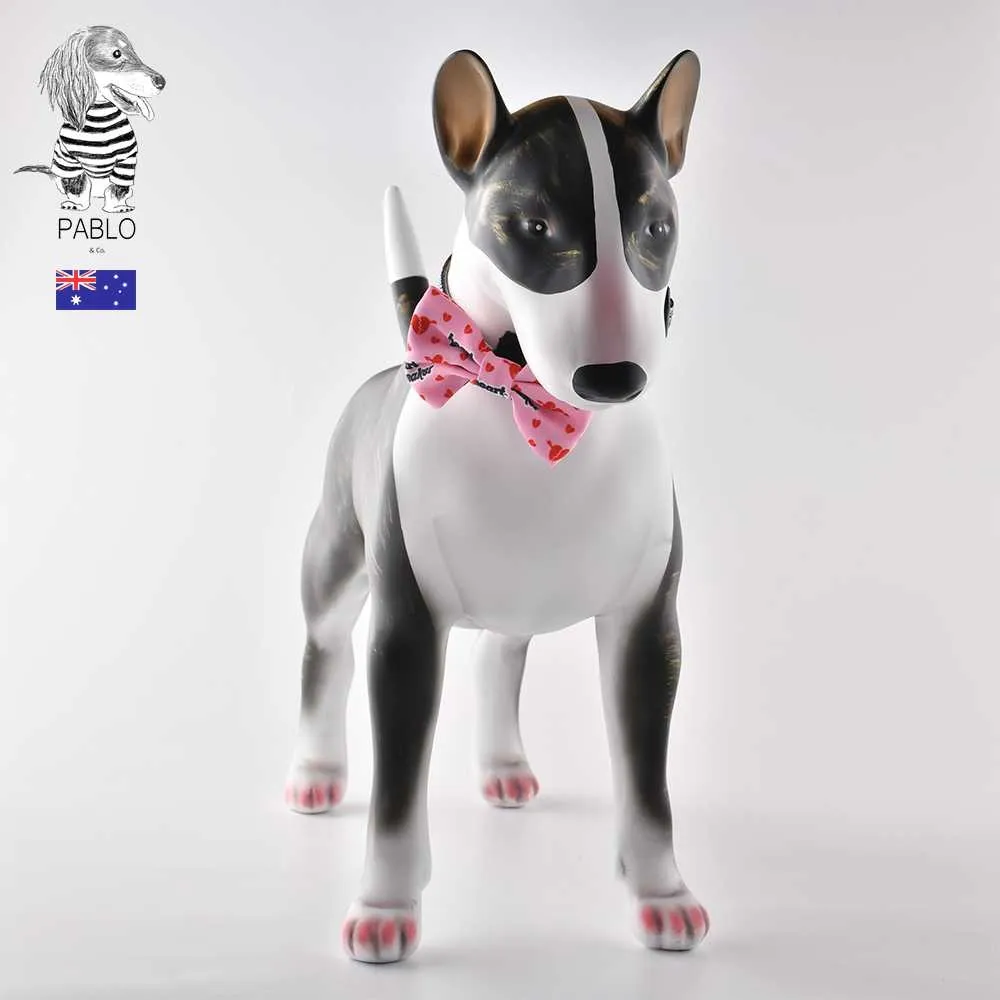 【寵物領結-純手工-繩長42cm-頸圍20-40cm-3個/組】貓咪領帶寵物用品 繩子有搭扣 可調節長度-79011 歷史價格詳細信息