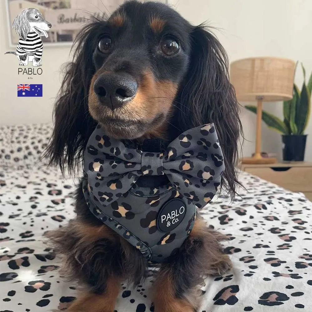 【寵物領結-純手工-繩長42cm-頸圍20-40cm-3個/組】貓咪領帶寵物用品 繩子有搭扣 可調節長度-79011 歷史價格詳細信息