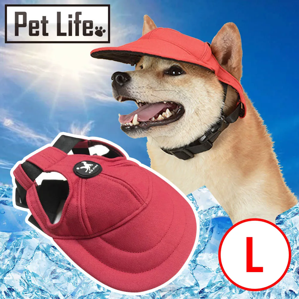 Pet Life 防潮透氣可拆洗寵物木床/貓窩/狗窩 原色小熊款 L號 歷史價格詳細信息