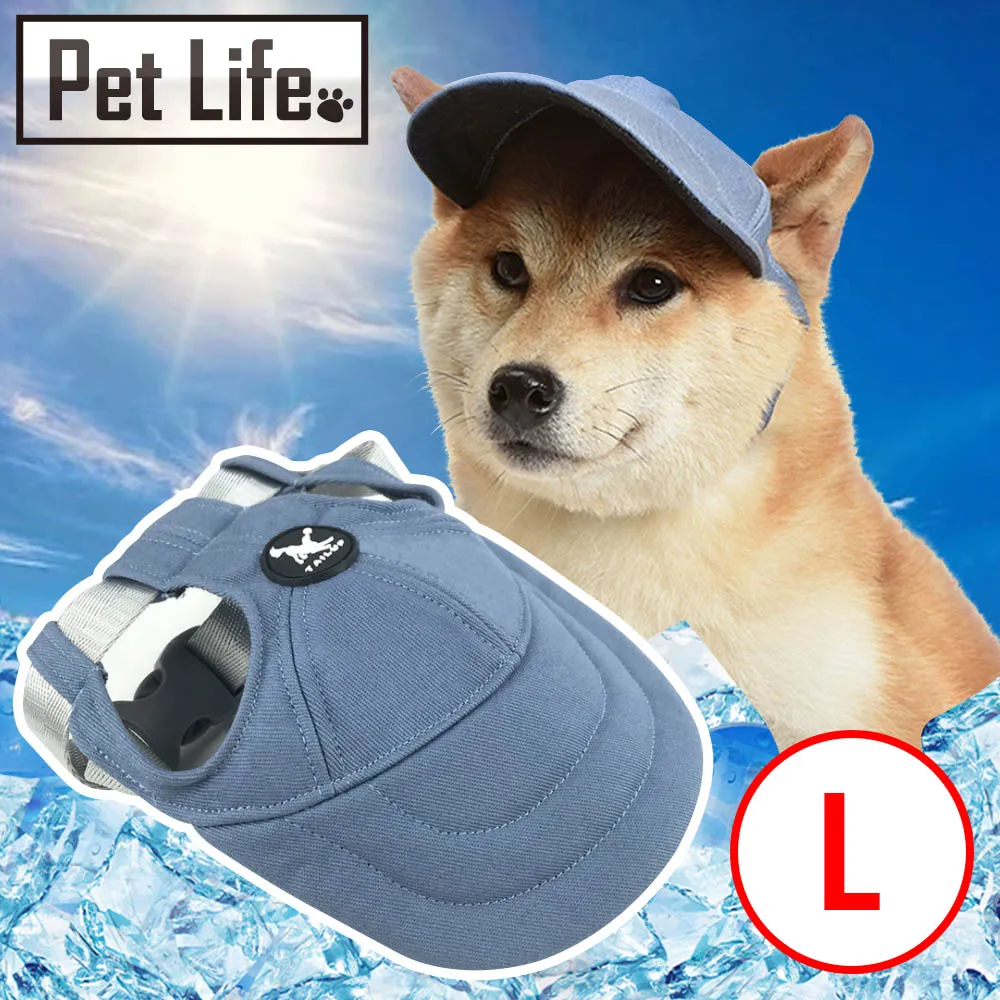 Pet Life 防潮透氣可拆洗寵物木床/貓窩/狗窩 原色小熊款 L號 歷史價格詳細信息