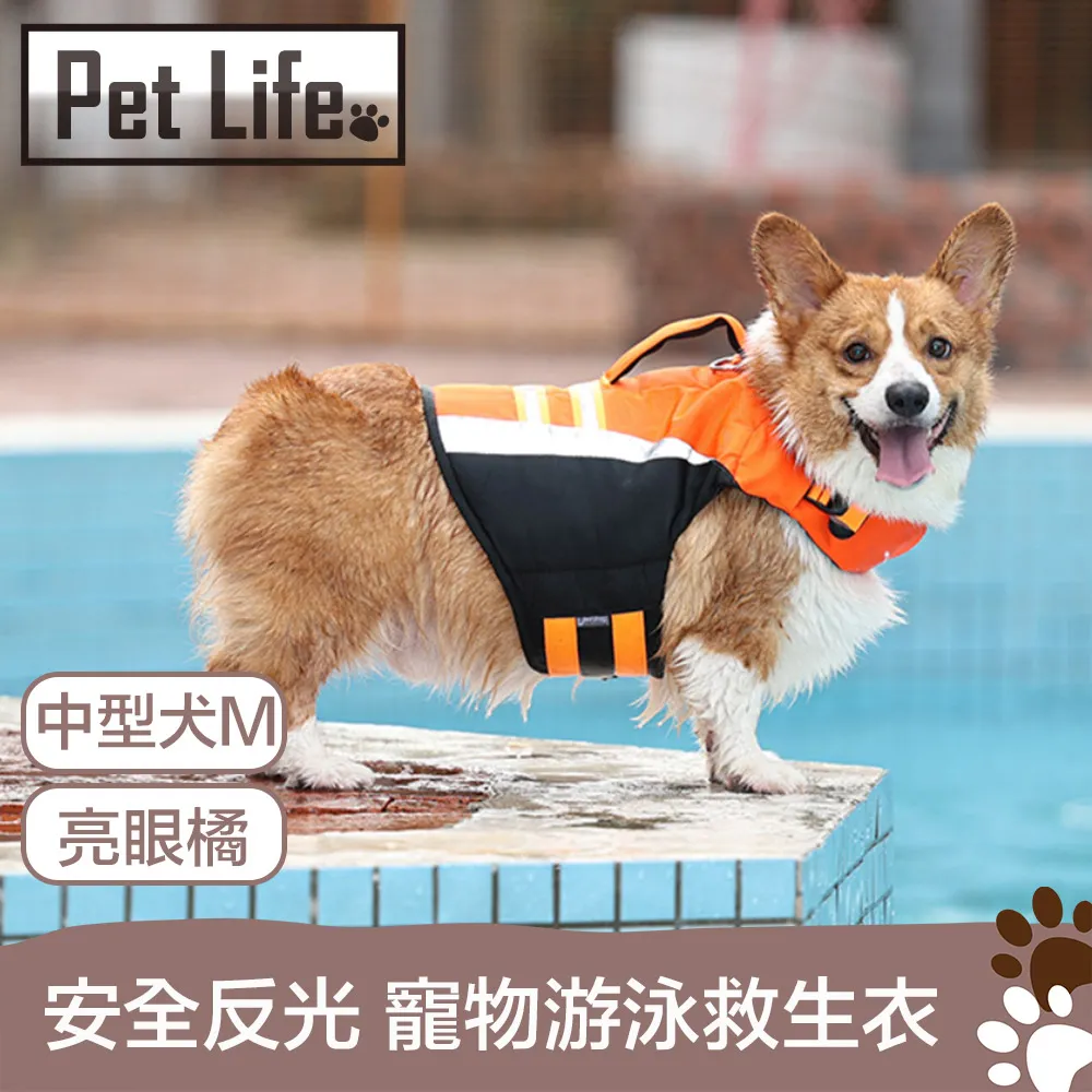 Pet Life 防潮透氣可拆洗寵物木床/貓窩/狗窩 原色小熊款 L號 歷史價格詳細信息