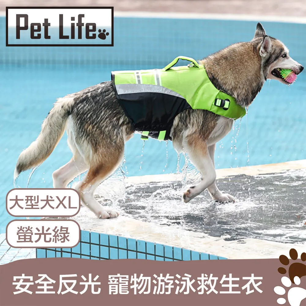 Pet Life 防潮透氣可拆洗寵物木床/貓窩/狗窩 原色小熊款 L號 歷史價格詳細信息