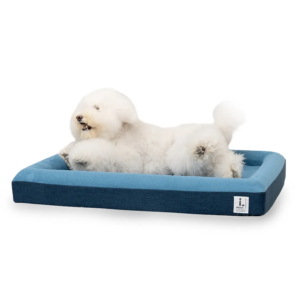 【蔚然】寵物胸背牽引小咪小小香風蕾絲牽引繩遛遛外出繩子防脫 歷史價格詳細信息