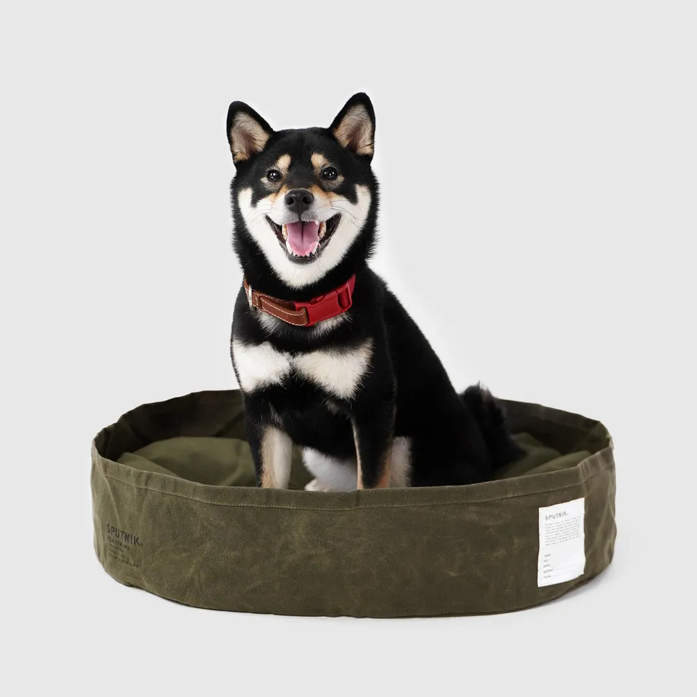 斯普尼克SPUTNIK-Pets Backpack｜寵物機能後背包 綠色 歷史價格詳細信息