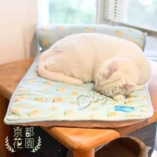 【小玉西瓜】西瓜造型可微波分格餐盒-960ml(密封盒 分裝盒 露營 學生 野餐 保鮮盒 兒童飯盒 便當盒) 歷史價格詳細信息