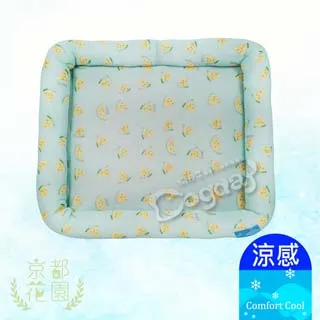 【小玉西瓜】西瓜造型可微波分格餐盒-960ml(密封盒 分裝盒 露營 學生 野餐 保鮮盒 兒童飯盒 便當盒) 歷史價格詳細信息