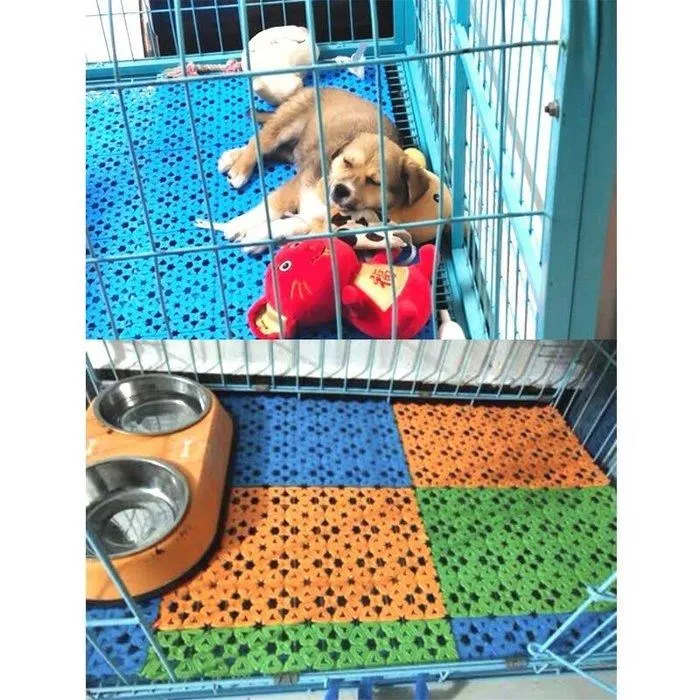 2入組 寵物可愛大鈴鐺項圈 可調節 貓咪項圈 小狗項圈 歷史價格詳細信息