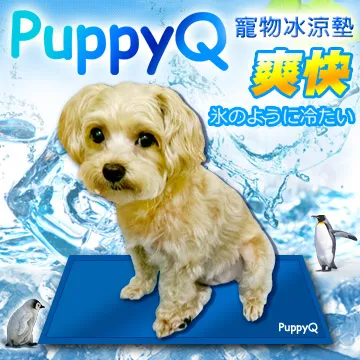 【30x40cm】冰凝膠坐墊 軟冰凝膠涼墊 涼墊 冰墊 HNFD71 歷史價格詳細信息