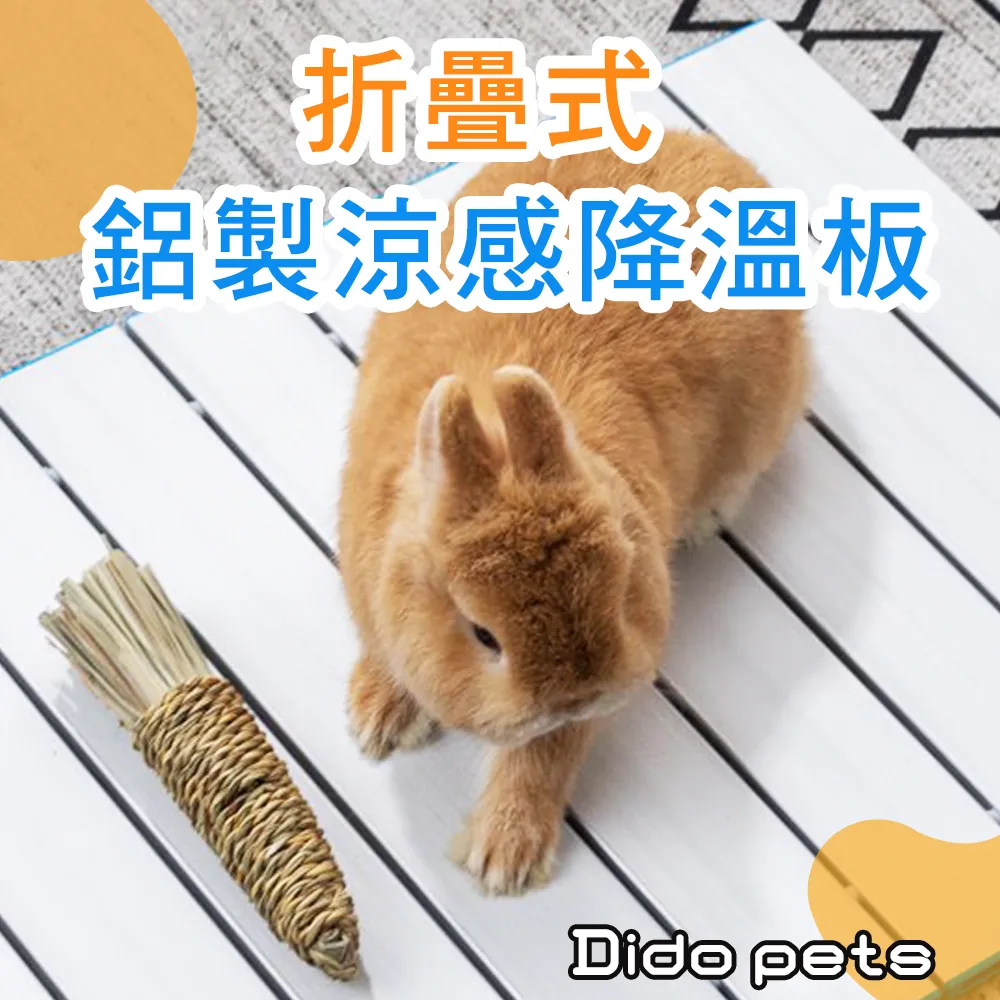 【Dido Pets】格紋造型可愛外出胸背帶 (PT016) 歷史價格詳細信息