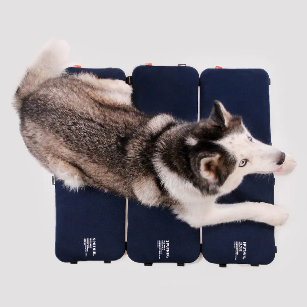 斯普尼克SPUTNIK-Pets Backpack｜寵物機能後背包 綠色 歷史價格詳細信息