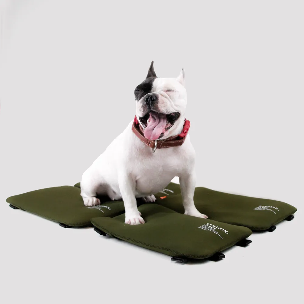 斯普尼克SPUTNIK-Pets Backpack｜寵物機能後背包 綠色 歷史價格詳細信息