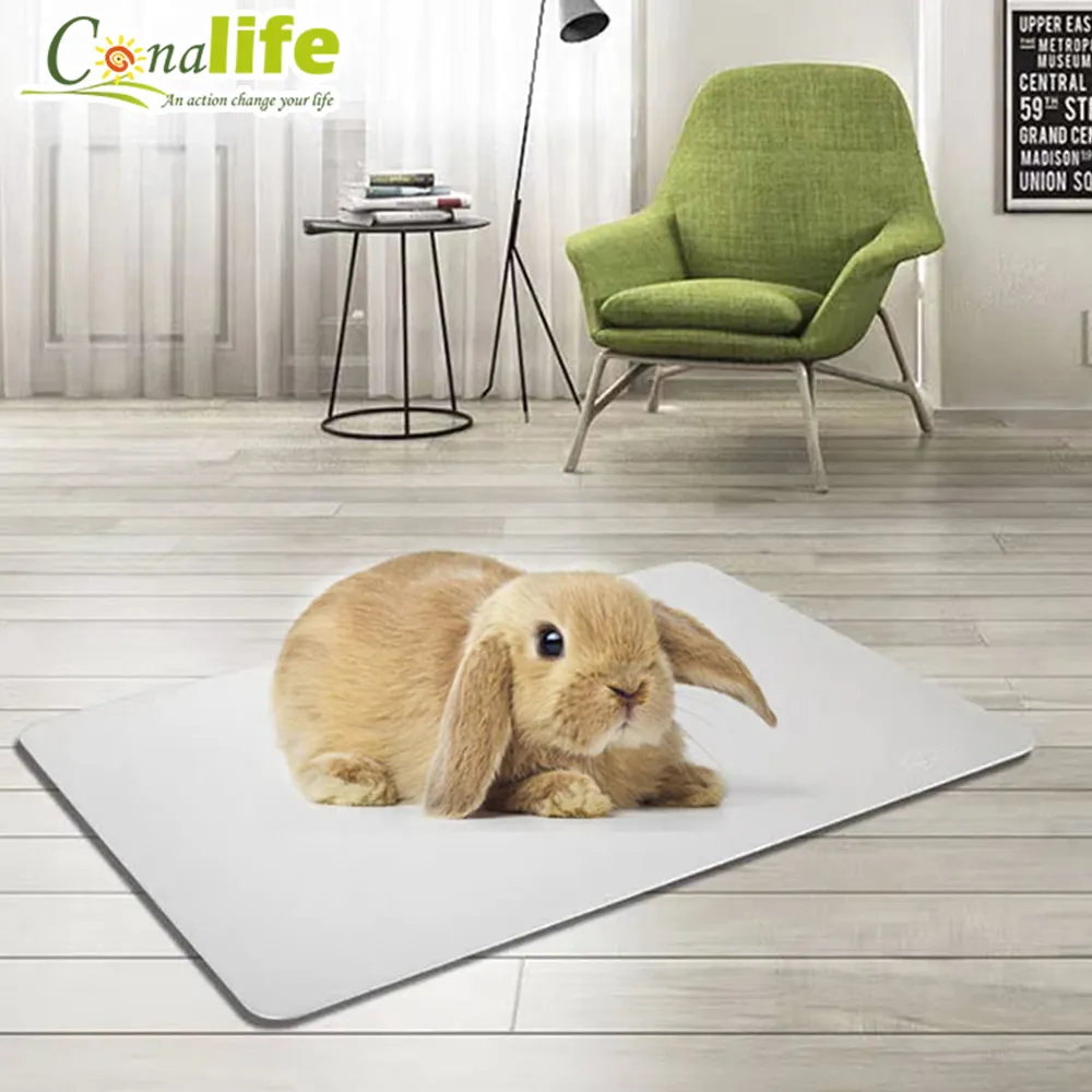 毛寶貝放暑假~PUBT 寵物移動城堡 PLT-06 大公爵系列 手提包 寵物拉桿包 寵物用品  寵物外出行李箱 歷史價格詳細信息