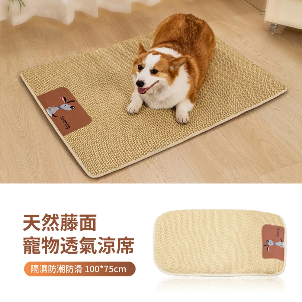 HADER 100入組 V形一次性手沖咖啡濾紙 泡茶葉波紋過濾紙 10cm/12cm 歷史價格詳細信息