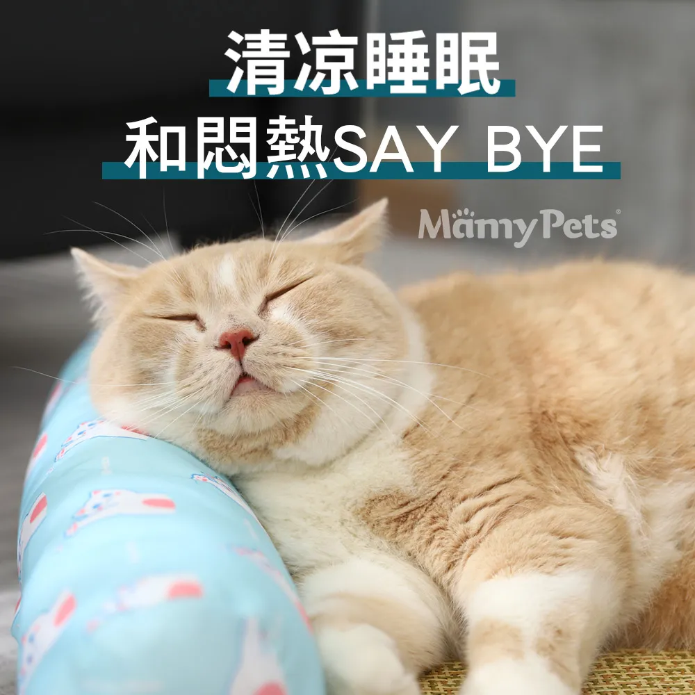 Ｍamy Pets 貓咪原木手工逗貓神器/解悶玩具。4款 歷史價格詳細信息