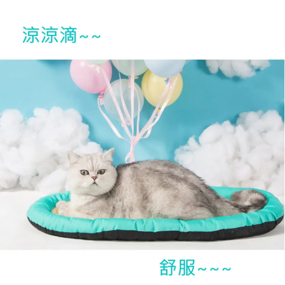 【WAWAWA】創意可調式車用收納掛籃掛袋垃圾桶/居家浴廁掛籃 歷史價格詳細信息