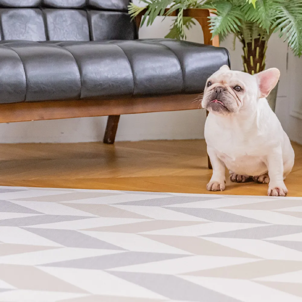 【Nice U】寵物防護地墊－經典北歐 (SOLO系列) 歷史價格詳細信息