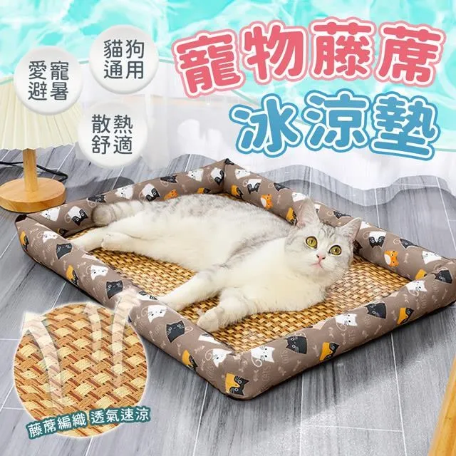 【EZlife】寵物噴霧蒸氣按摩梳 歷史價格詳細信息