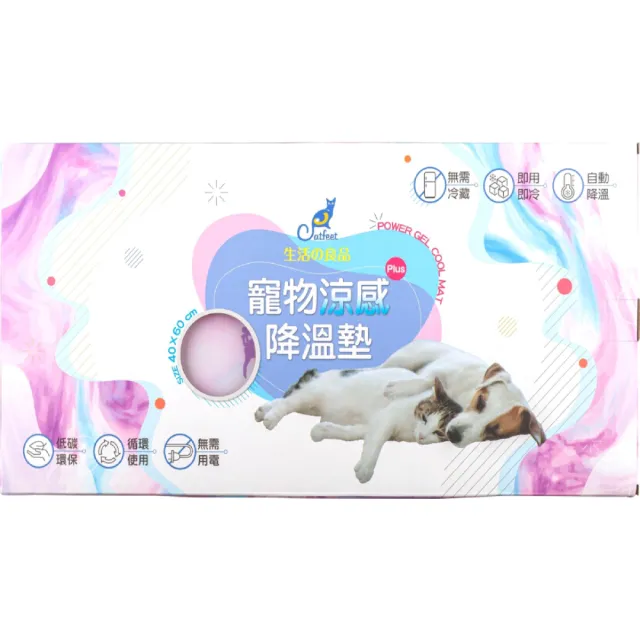 CatFeet 寵物餐碗 好好吃飯組 黑胡桃木製方形高腳雙碗 圓形高腳單碗 造型高腳單碗『WANG』 歷史價格詳細信息