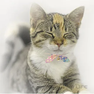 蝴蝶結 鈴鐺 項圈 頸圈 鈴鐺 造型 寵物 變裝 中小型犬 柯基 長毛臘腸 貴賓 柴犬 萌萌 手工製 貓咪 可用 耶誕節 歷史價格詳細信息