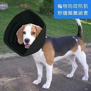 艾寵樂 仿樹牆 防濺尿可拆卸尿便盆 寵物尿盆 狗犬尿盆 公狗帶牆款 歷史價格詳細信息