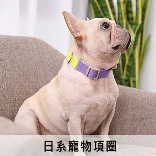 【】日系寵物袋鼠包 寵物外出包 寵物單肩包 寵物胸前包 寵物胸前背包 寵物斜背包 寵物側背包 狗狗外出包 猫咪外出包 歷史價格詳細信息