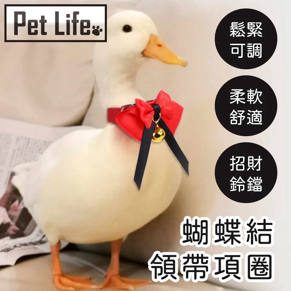 Pet Life 小萌舞獅賀春 犬貓通用造型寵物針織毛衣 M 歷史價格詳細信息