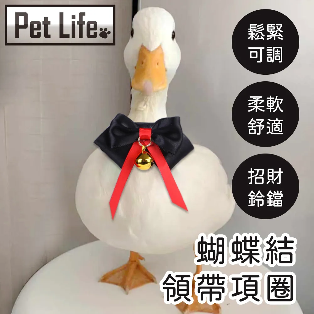 Pet Life 小萌舞獅賀春 犬貓通用造型寵物針織毛衣 M 歷史價格詳細信息
