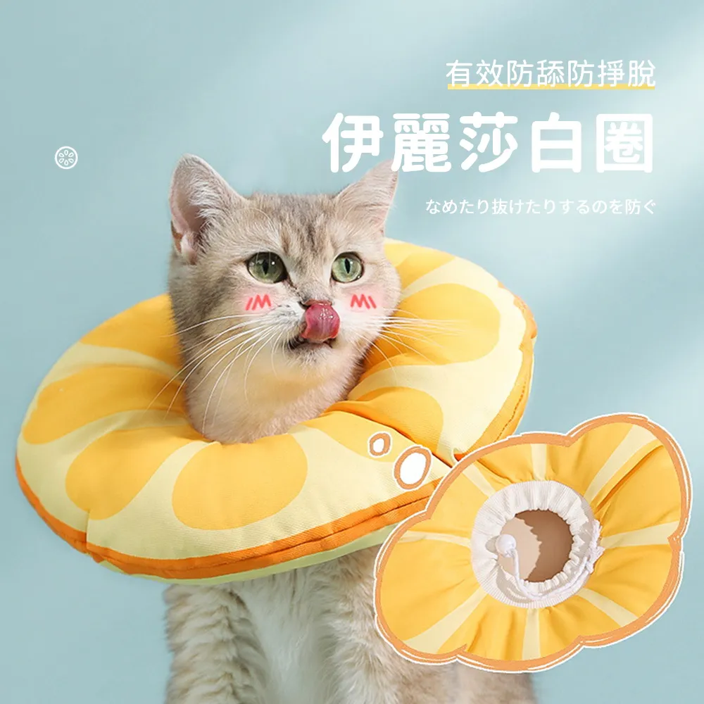 SUNORO 貓咪不倒翁滑球漏食玩具（漏食器 逗貓棒 寵物玩具 益智 解悶 自嗨） 歷史價格詳細信息