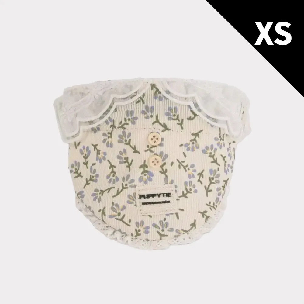 秘密森林塔羅 Tarot Of The Secret Forest｜理性與感性並存的雙面印刷設計【左西購物網】 歷史價格詳細信息