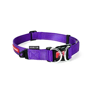 【EZYDOG】雙環項圈 寵物項圈 犬用 項圈 頸圈 S-XL 外出用品－寵物執行長 歷史價格詳細信息