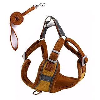 寵物愛家 狗狗玩具磨牙潔齒用品狗狗繞繩啃咬球寵物用品 歷史價格詳細信息