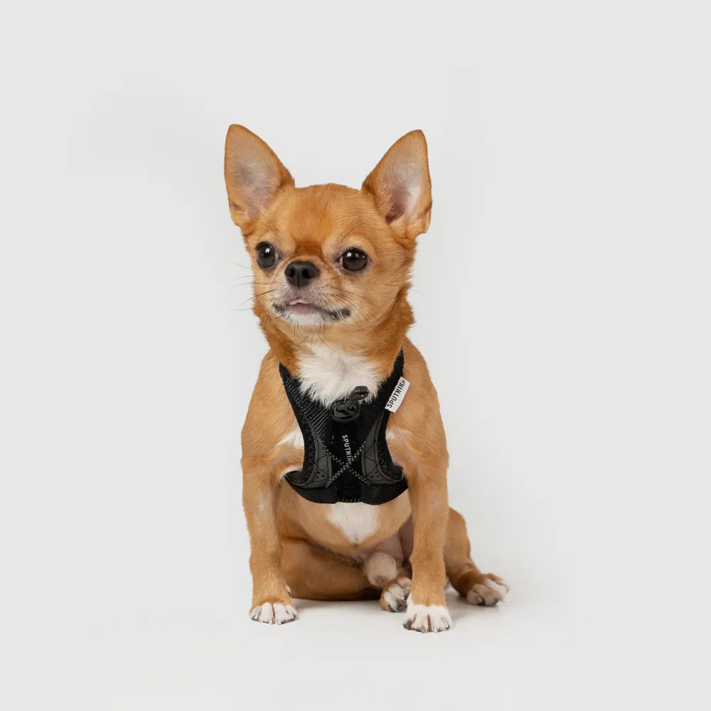 SPUTNIK Ultra Explore︱寵物牽繩 灰色 S號 歷史價格詳細信息