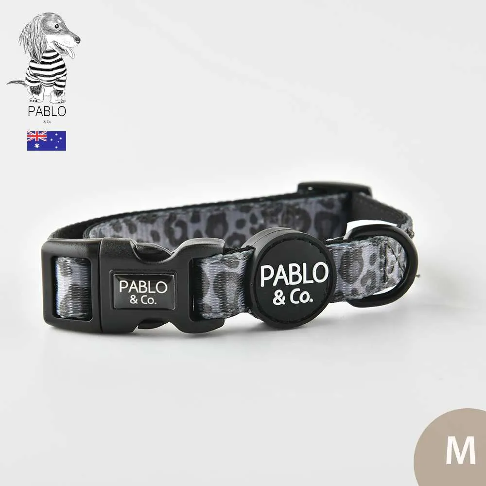 Pablo & Co 可調整式胸背帶 更美麗彩虹 XS 歷史價格詳細信息