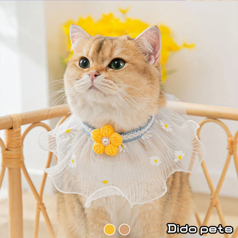 寵物蕾絲項圈 圍嘴 貓咪狗狗蕾絲圍嘴 鈴鐺項圈 脖圈飾品超夯 精品 歷史價格詳細信息