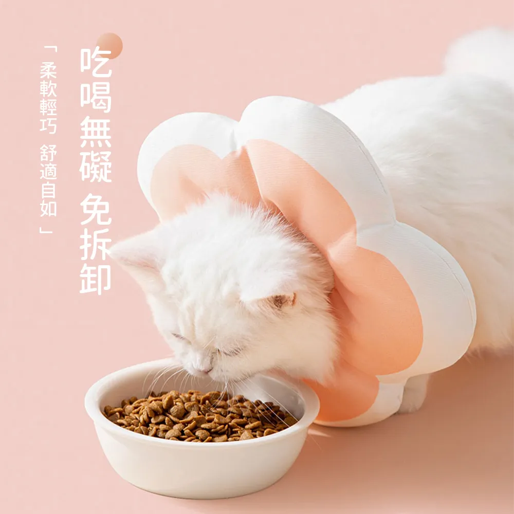 伊麗莎白圈貓咪圍脖套犬貓通用防抓貓項圈防護圈美容罩恥辱【二丁目】 歷史價格詳細信息