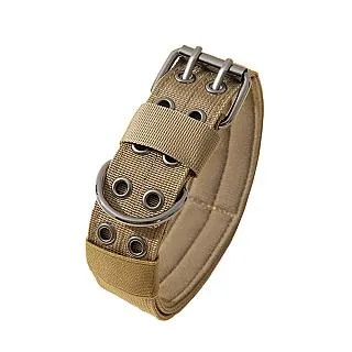 大型犬狗狗寵物項圈三公分寬可以刻名字巧將手工皮件Cheergiant Crafts leather pet chain 歷史價格詳細信息