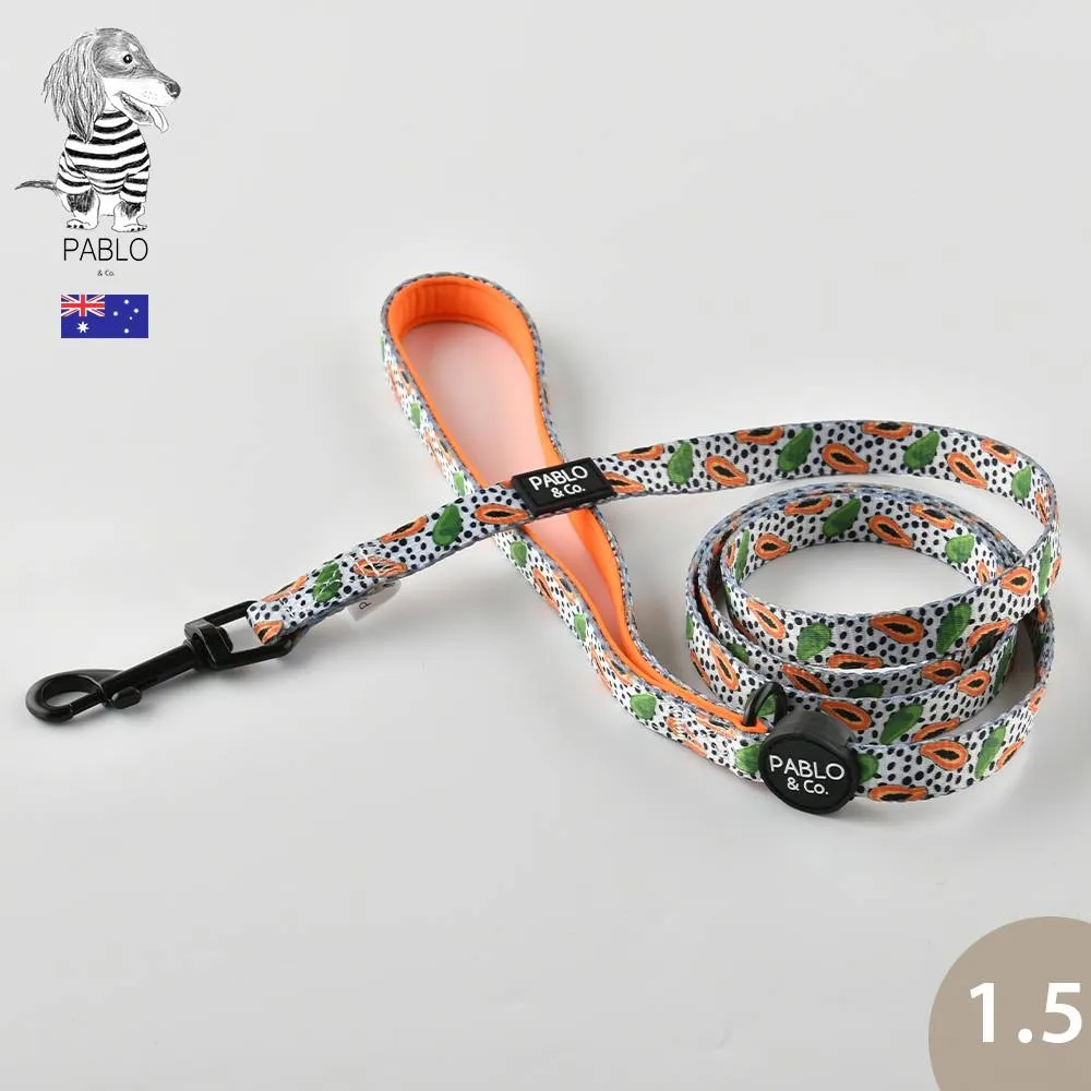 牽好狗子 狗狗牽引繩狗背心式狗繩遛狗錬子小型犬胸背帶法斗繩子 歷史價格詳細信息