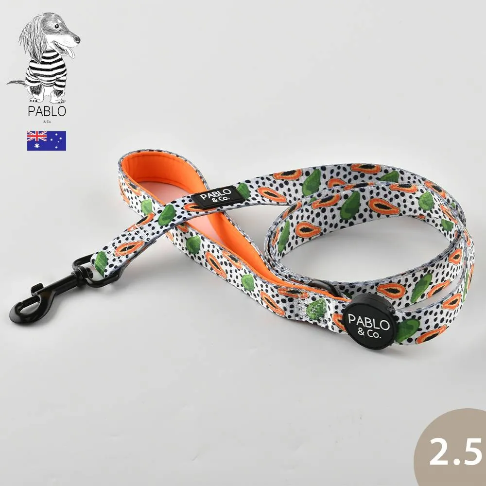 牽好狗子 狗狗牽引繩狗背心式狗繩遛狗錬子小型犬胸背帶法斗繩子 歷史價格詳細信息