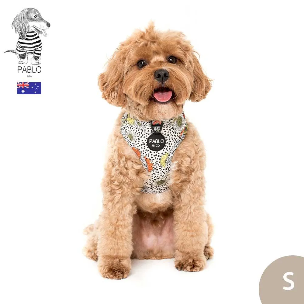 南法帶回~夏日氣息綠色手感草編手提包 歷史價格詳細信息