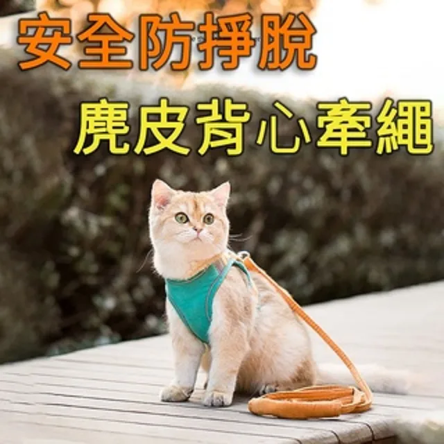 【蘿林嚴選】隱形吸汗貼(腋下墊 腋下貼片 腋下貼 吸汗 貼片 止汗貼 隱形貼 吸汗貼 ROYALLIN) 歷史價格詳細信息