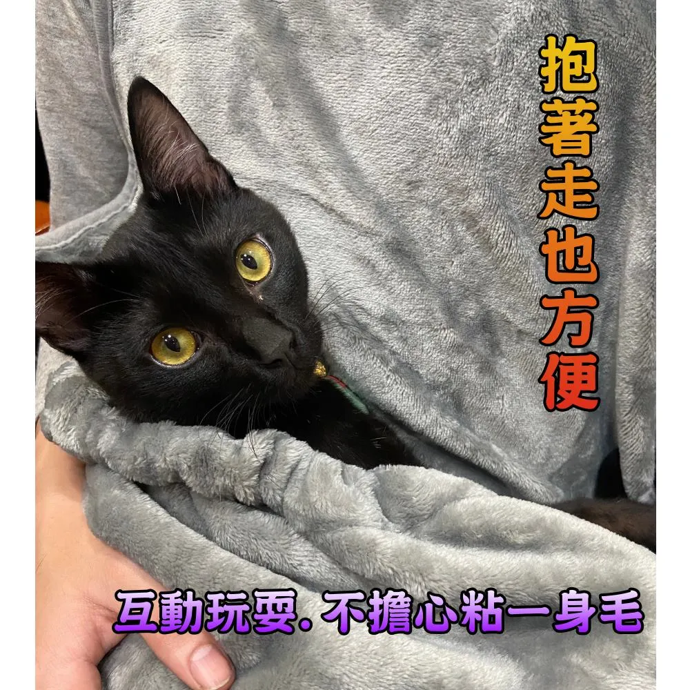 寵物圍兜 公主蕾絲口水巾 佈偶貓咪可愛圍脖 蝴蝶結三角巾 圍嘴 項圈 8EMF 歷史價格詳細信息