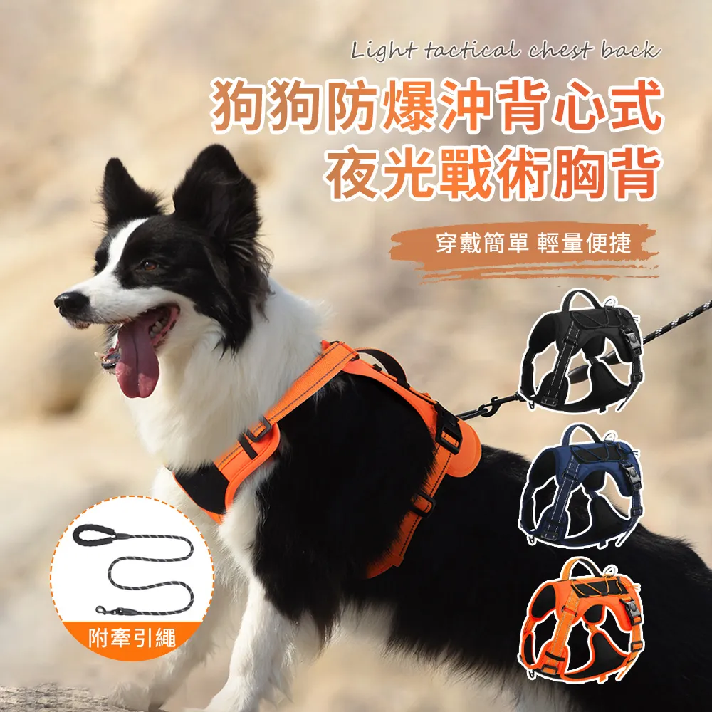 狗狗牽引繩夜用反光背心式可調整遛狗繩防脫中大型犬狗鏈狗繩 歷史價格詳細信息