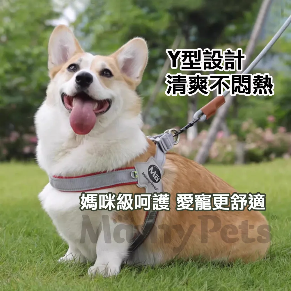 Amy寵物生活館:出清~寵物三角胸背帶XS號 粉紅/藍色(附繩) 歷史價格詳細信息