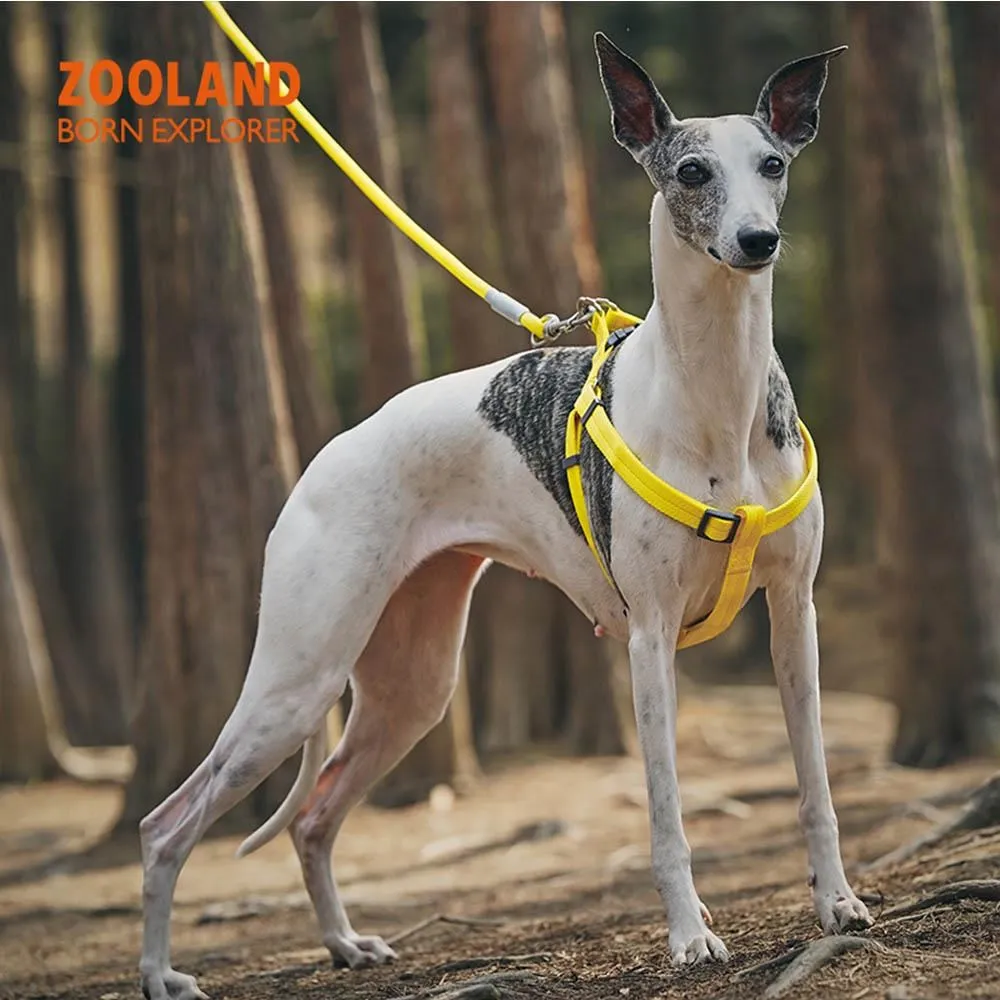 ZOOLAND寵物狗狗撿屎袋加厚可降解拾糞便器貓砂鏟屎垃圾袋一次性 歷史價格詳細信息